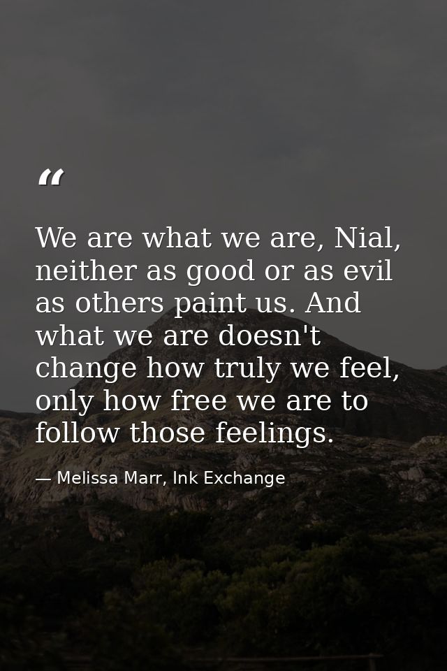 We are what we are, Nial, neither as good or as evil as others paint us. And what we are doesn't change how truly we fee — Melissa Marr, Ink Exchange