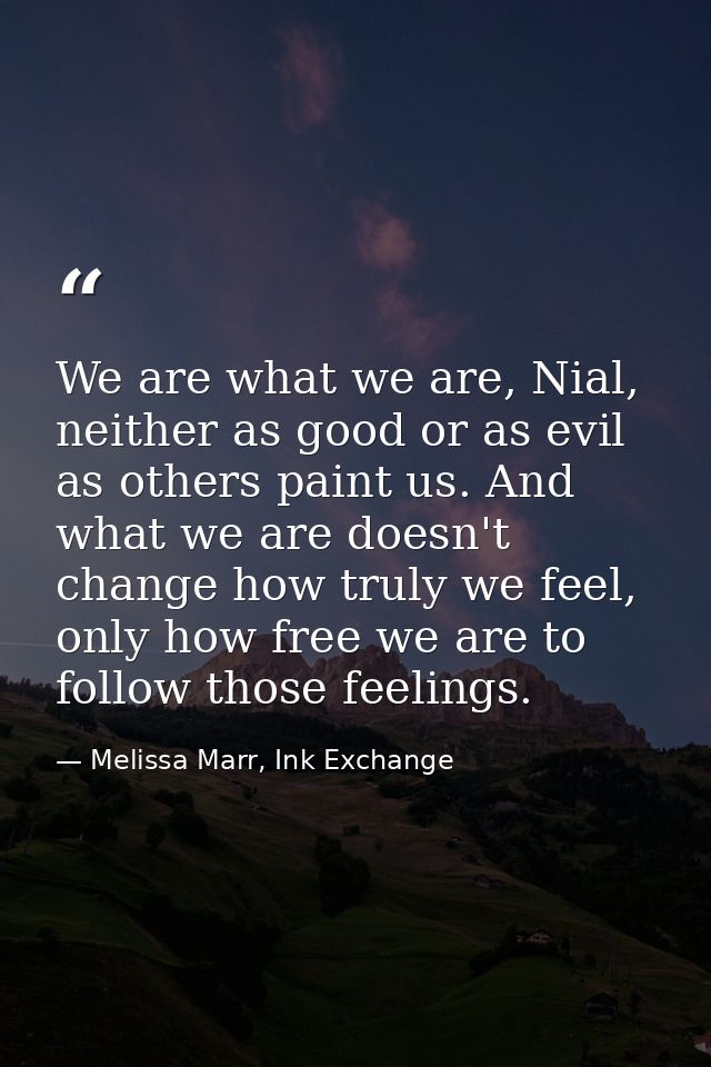 We are what we are, Nial, neither as good or as evil as others paint us. And what we are doesn't change how truly we fee — Melissa Marr, Ink Exchange