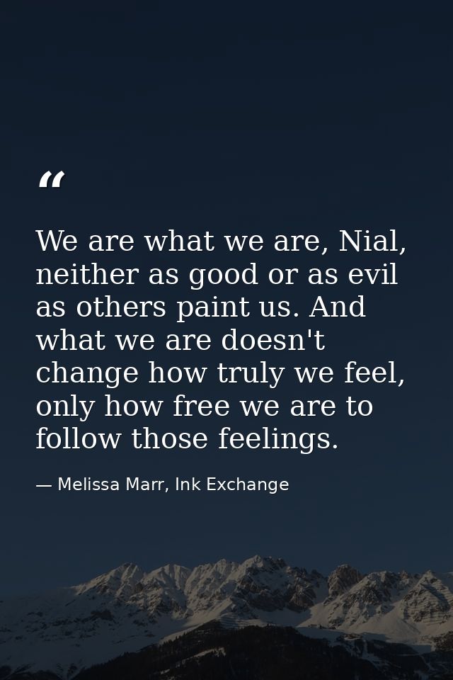 We are what we are, Nial, neither as good or as evil as others paint us. And what we are doesn't change how truly we fee — Melissa Marr, Ink Exchange