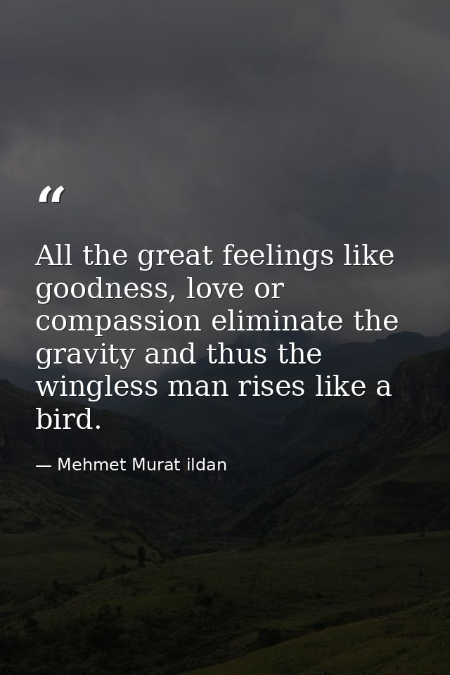 All the great feelings like goodness, love or compassion eliminate the gravity and thus the wingless man rises like a bi — Mehmet Murat ildan