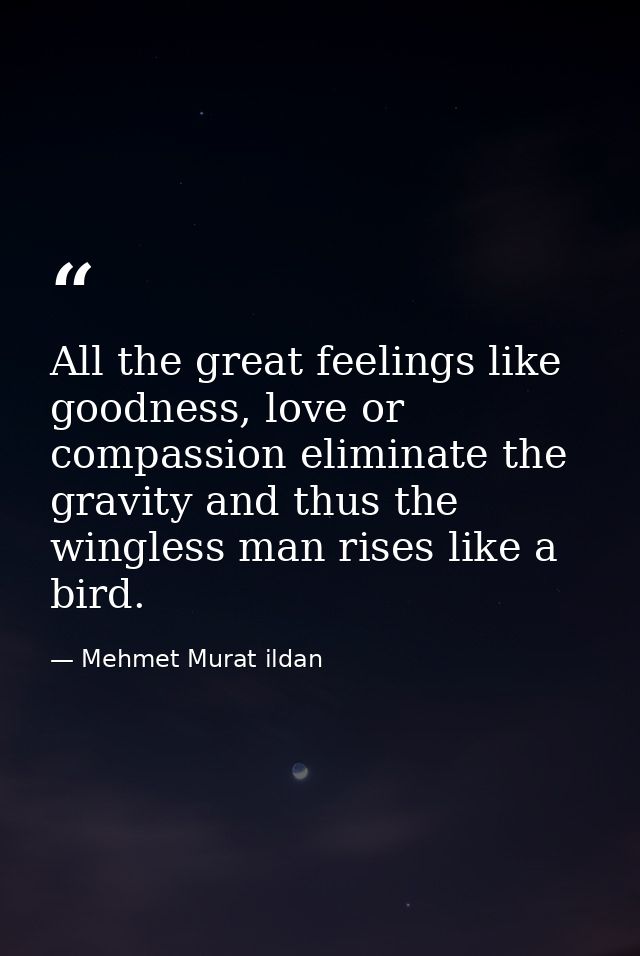 All the great feelings like goodness, love or compassion eliminate the gravity and thus the wingless man rises like a bi — Mehmet Murat ildan