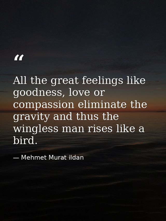 All the great feelings like goodness, love or compassion eliminate the gravity and thus the wingless man rises like a bi — Mehmet Murat ildan