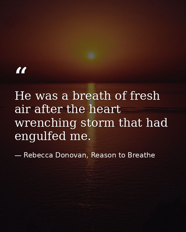He was a breath of fresh air after the heart wrenching storm that had engulfed me. — Rebecca Donovan, Reason to Breathe