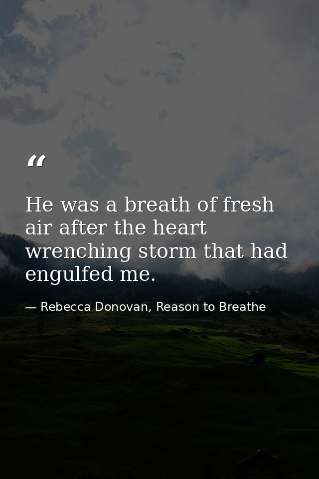 He was a breath of fresh air after the heart wrenching storm that had engulfed me. — Rebecca Donovan, Reason to Breathe