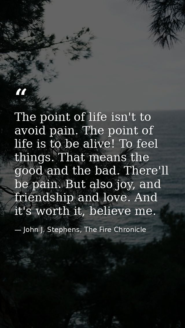 The point of life isn't to avoid pain. The point of life is to be alive! To feel things. That means the good and the bad — John J. Stephens, The Fire Chronicle