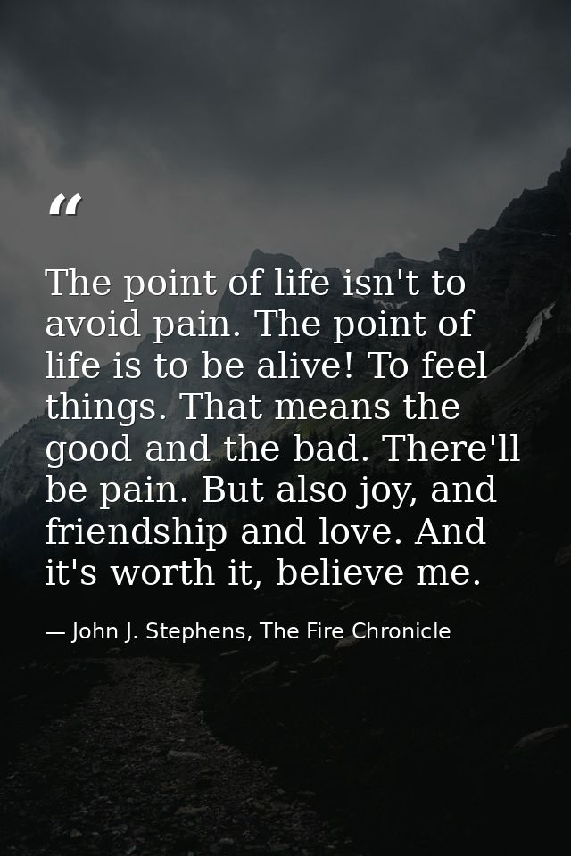 The point of life isn't to avoid pain. The point of life is to be alive! To feel things. That means the good and the bad — John J. Stephens, The Fire Chronicle