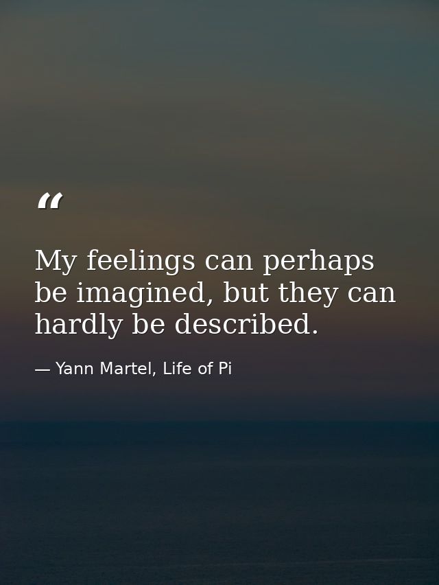 My feelings can perhaps be imagined, but they can hardly be described. — Yann Martel, Life of Pi