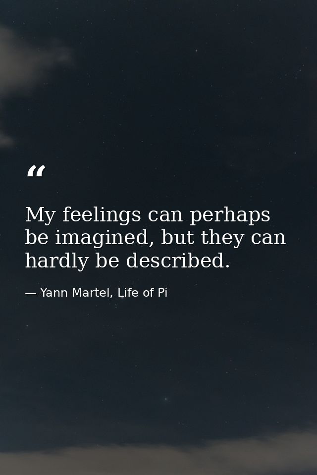 My feelings can perhaps be imagined, but they can hardly be described. — Yann Martel, Life of Pi