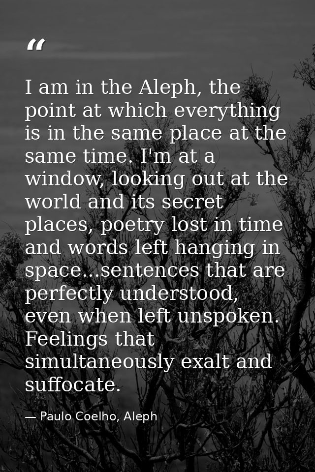 I am in the Aleph, the point at which everything is in the same place at the same time. I'm at a window, looking out at  — Paulo Coelho, Aleph
