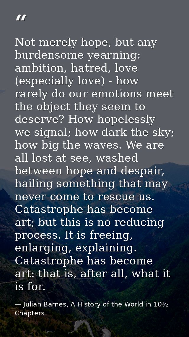 Not merely hope, but any burdensome yearning: ambition, hatred, love (especially love) - how rarely do our emotions meet — Julian Barnes, A History of the World in 10½  Chapters