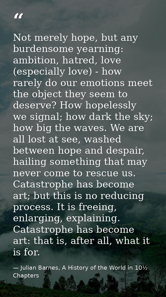 Not merely hope, but any burdensome yearning: ambition, hatred, love (especially love) - how rarely do our emotions meet — Julian Barnes, A History of the World in 10½  Chapters