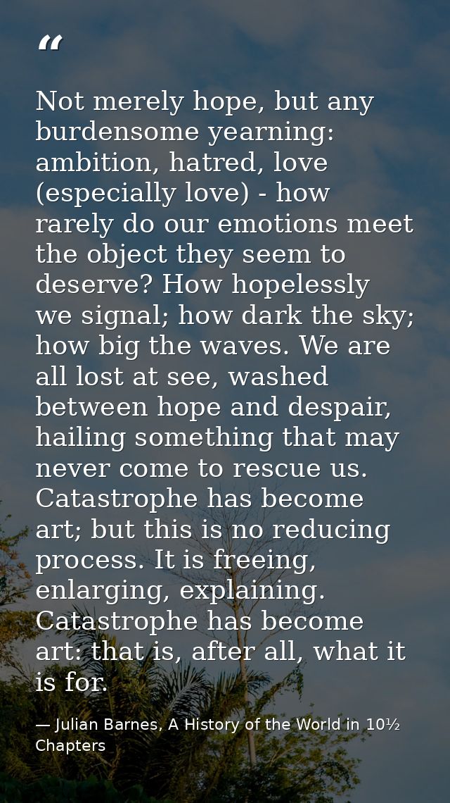 Not merely hope, but any burdensome yearning: ambition, hatred, love (especially love) - how rarely do our emotions meet — Julian Barnes, A History of the World in 10½  Chapters