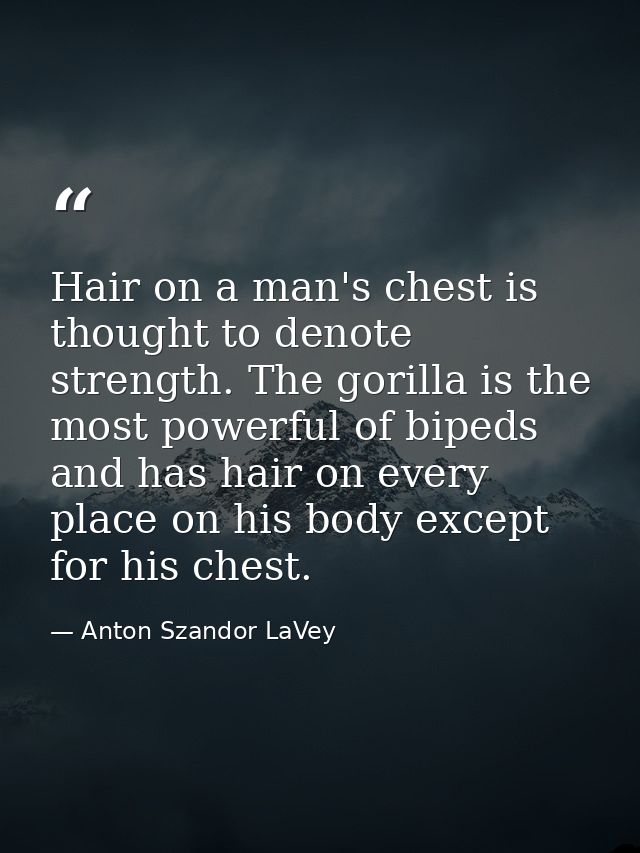 Hair on a man's chest is thought to denote strength. The gorilla is the most powerful of bipeds and has hair on every pl — Anton Szandor LaVey