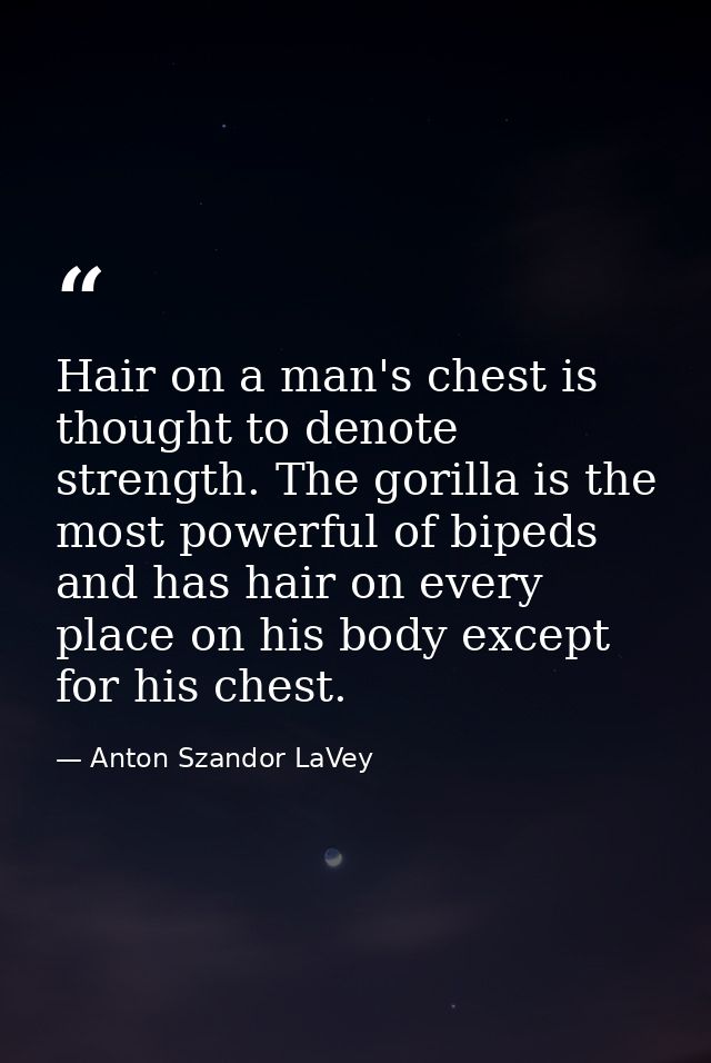 Hair on a man's chest is thought to denote strength. The gorilla is the most powerful of bipeds and has hair on every pl — Anton Szandor LaVey