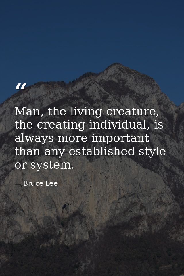 Man, the living creature, the creating individual, is always more important than any established style or system. — Bruce Lee