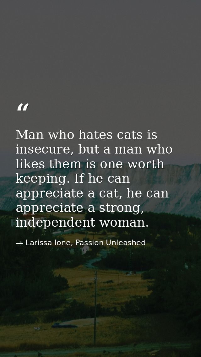 Man who hates cats is insecure, but a man who likes them is one worth keeping. If he can appreciate a cat, he can apprec — Larissa Ione, Passion Unleashed
