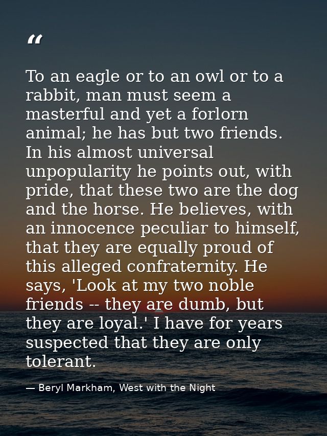 To an eagle or to an owl or to a rabbit, man must seem a masterful and yet a forlorn animal; he has but two friends. In  — Beryl Markham, West with the Night