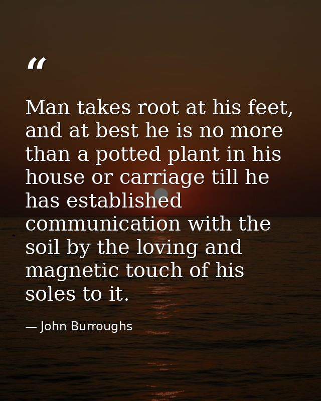 Man takes root at his feet, and at best he is no more than a potted plant in his house or carriage till he has establish — John Burroughs
