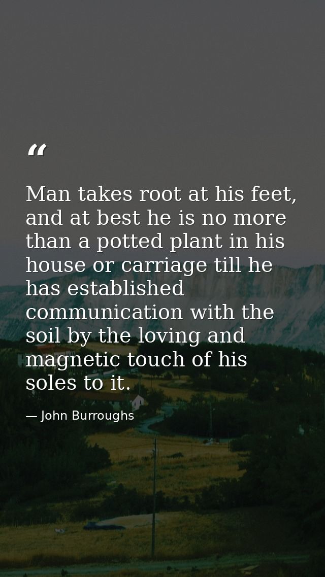 Man takes root at his feet, and at best he is no more than a potted plant in his house or carriage till he has establish — John Burroughs