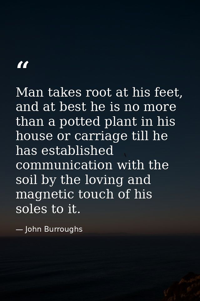 Man takes root at his feet, and at best he is no more than a potted plant in his house or carriage till he has establish — John Burroughs
