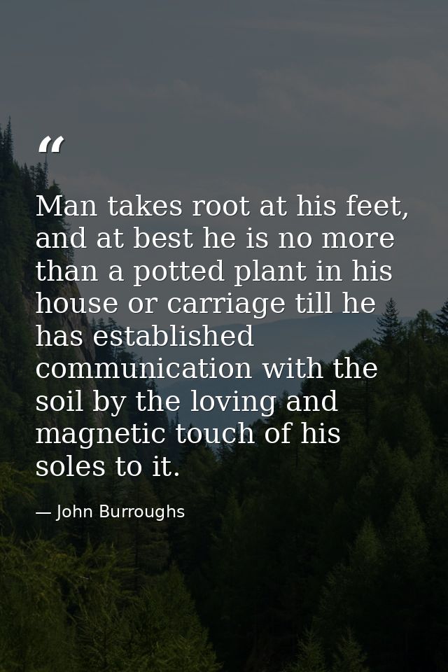 Man takes root at his feet, and at best he is no more than a potted plant in his house or carriage till he has establish — John Burroughs