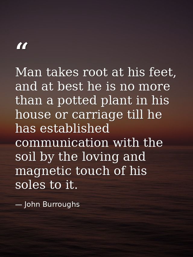 Man takes root at his feet, and at best he is no more than a potted plant in his house or carriage till he has establish — John Burroughs