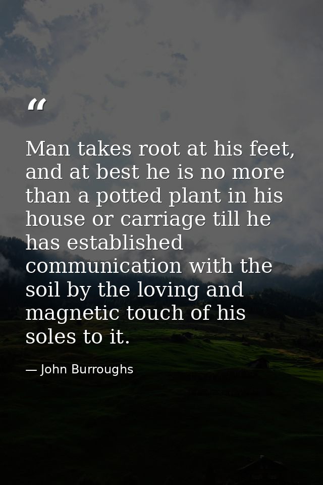 Man takes root at his feet, and at best he is no more than a potted plant in his house or carriage till he has establish — John Burroughs