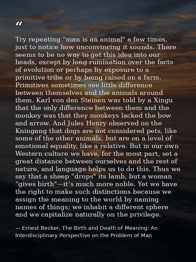 Try repeating “man is an animal" a few times, just to notice how unconvincing it sounds. There seems to be no way to get — Ernest Becker, The Birth and Death of Meaning: An Interdisciplinary Perspective on the Problem of Man