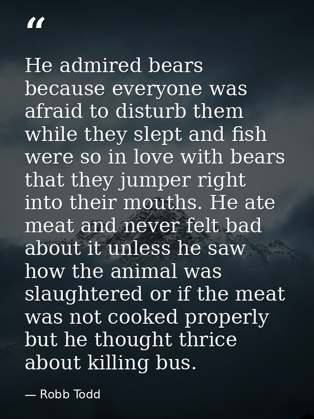 He admired bears because everyone was afraid to disturb them while they slept and fish were so in love with bears that t — Robb Todd