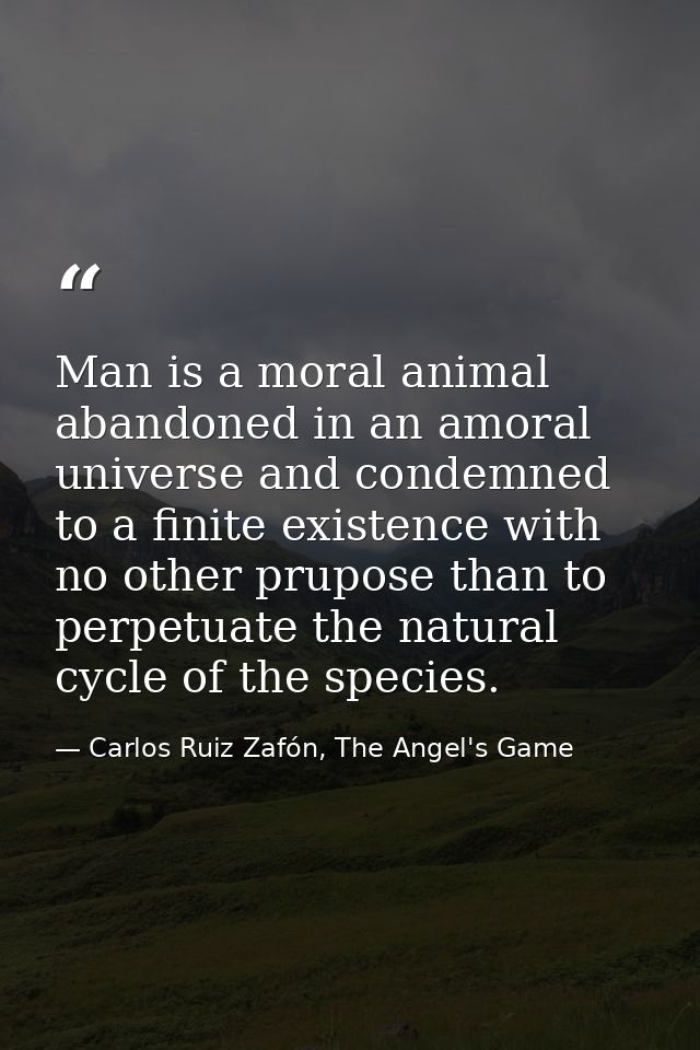 Man is a moral animal abandoned in an amoral universe and condemned to a finite existence with no other prupose than to  — Carlos Ruiz Zafón, The Angel's Game