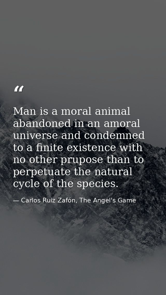 Man is a moral animal abandoned in an amoral universe and condemned to a finite existence with no other prupose than to  — Carlos Ruiz Zafón, The Angel's Game