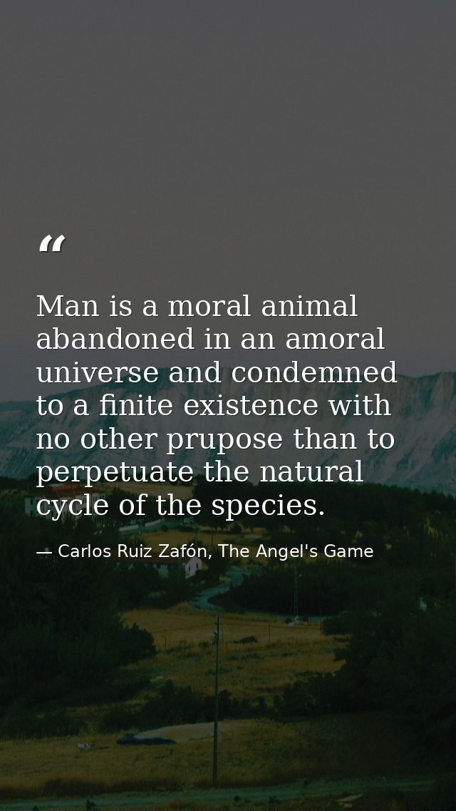 Man is a moral animal abandoned in an amoral universe and condemned to a finite existence with no other prupose than to  — Carlos Ruiz Zafón, The Angel's Game