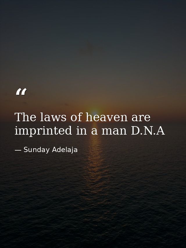 The laws of heaven are imprinted in a man D.N.A — Sunday Adelaja