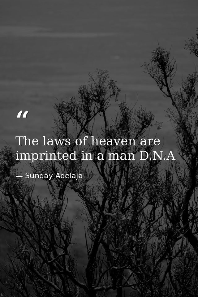 The laws of heaven are imprinted in a man D.N.A — Sunday Adelaja