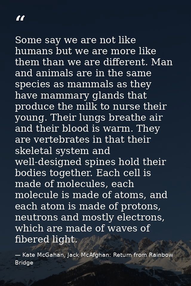 Some say we are not like humans but we are more like them than we are different. Man and animals are in the same species — Kate McGahan, Jack McAfghan: Return from Rainbow Bridge