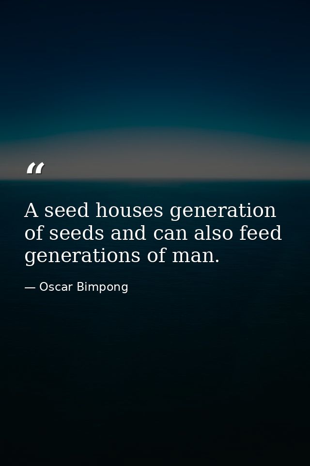 A seed houses generation of seeds and can also feed generations of man. — Oscar Bimpong