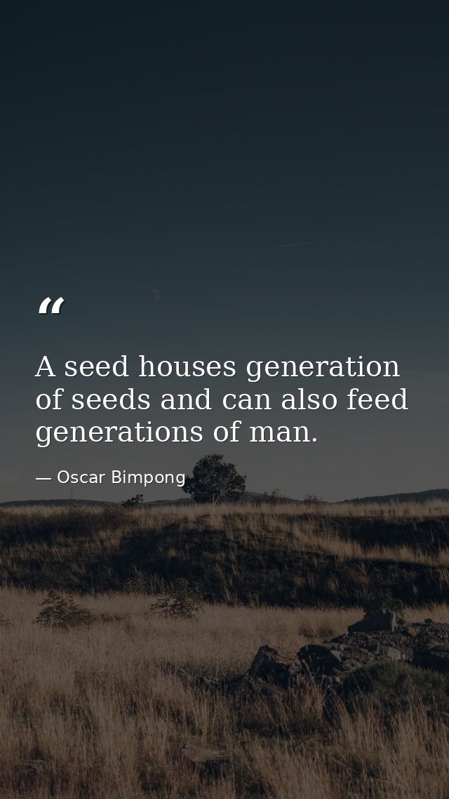 A seed houses generation of seeds and can also feed generations of man. — Oscar Bimpong