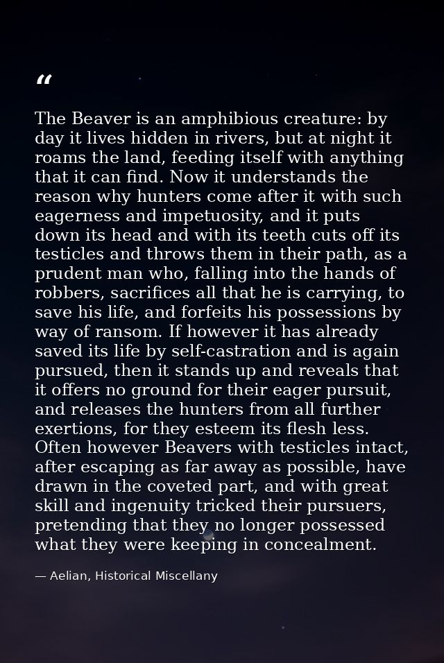 The Beaver is an amphibious creature: by day it lives hidden in rivers, but at night it roams the land, feeding itself w — Aelian, Historical Miscellany