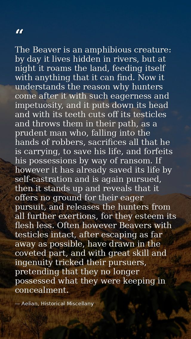 The Beaver is an amphibious creature: by day it lives hidden in rivers, but at night it roams the land, feeding itself w — Aelian, Historical Miscellany