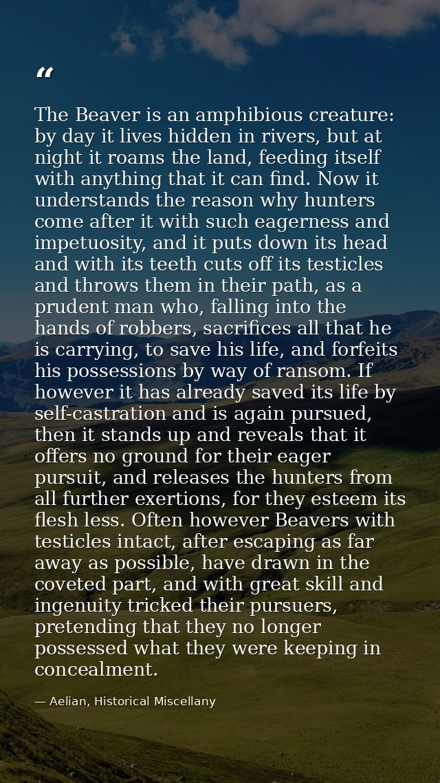 The Beaver is an amphibious creature: by day it lives hidden in rivers, but at night it roams the land, feeding itself w — Aelian, Historical Miscellany