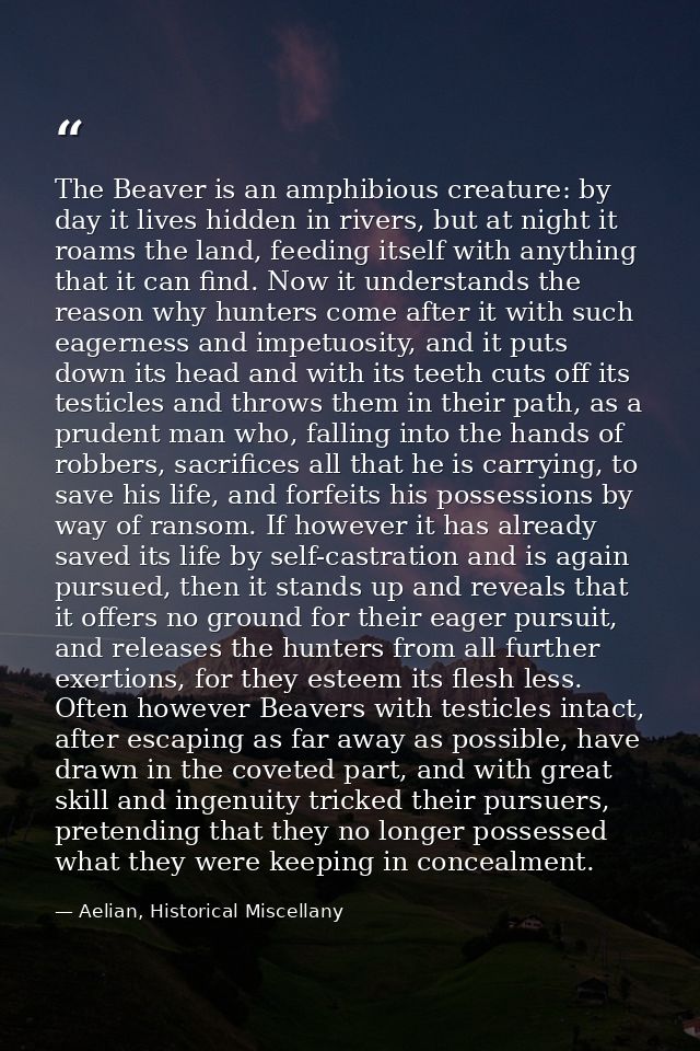 The Beaver is an amphibious creature: by day it lives hidden in rivers, but at night it roams the land, feeding itself w — Aelian, Historical Miscellany