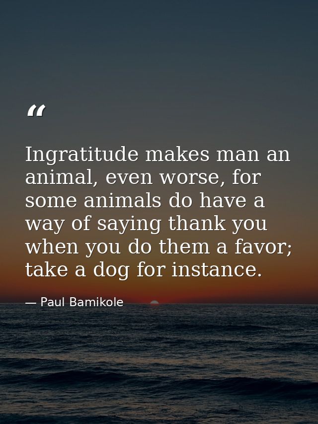 Ingratitude makes man an animal, even worse, for some animals do have a way of saying thank you when you do them a favor — Paul Bamikole