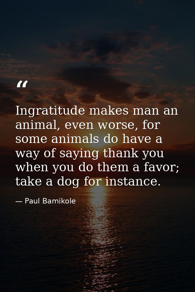 Ingratitude makes man an animal, even worse, for some animals do have a way of saying thank you when you do them a favor — Paul Bamikole