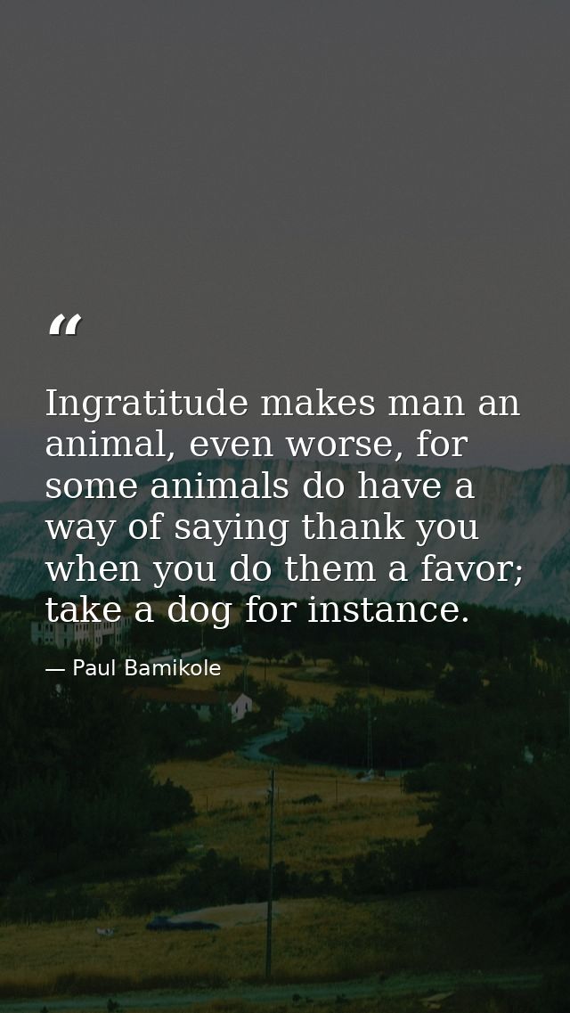 Ingratitude makes man an animal, even worse, for some animals do have a way of saying thank you when you do them a favor — Paul Bamikole