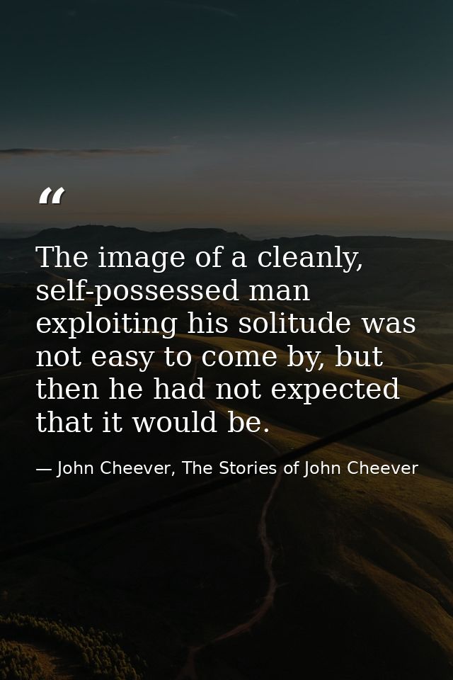 The image of a cleanly, self-possessed man exploiting his solitude was not easy to come by, but then he had not expected — John Cheever, The Stories of John Cheever