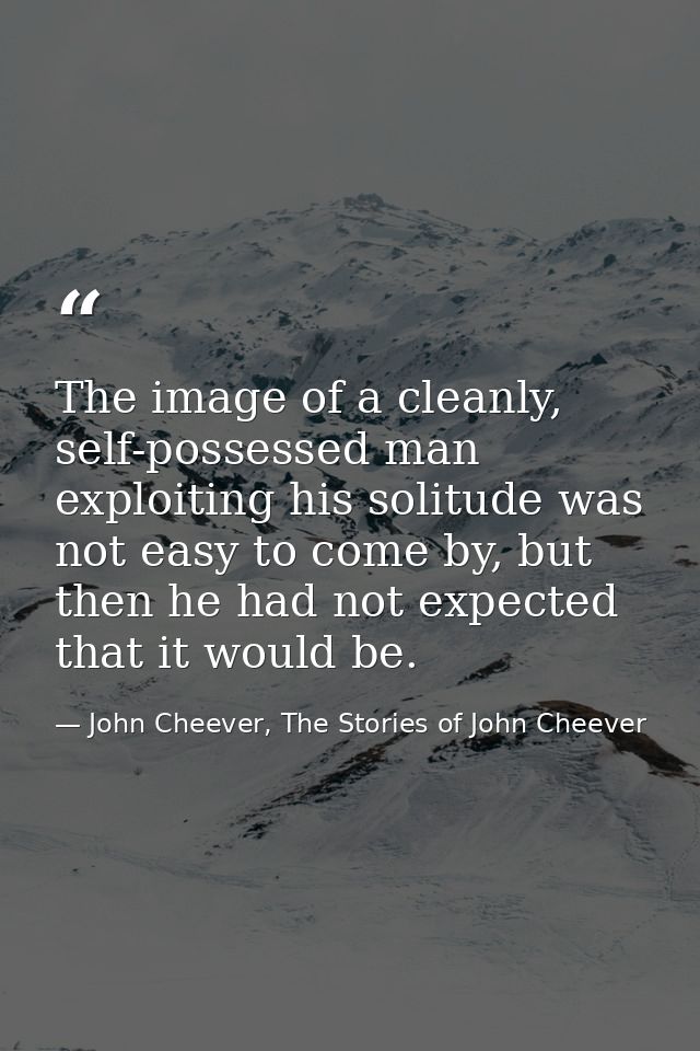 The image of a cleanly, self-possessed man exploiting his solitude was not easy to come by, but then he had not expected — John Cheever, The Stories of John Cheever
