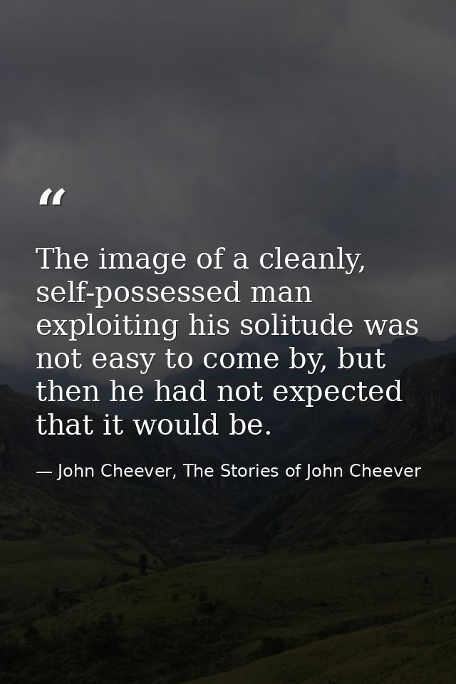The image of a cleanly, self-possessed man exploiting his solitude was not easy to come by, but then he had not expected — John Cheever, The Stories of John Cheever
