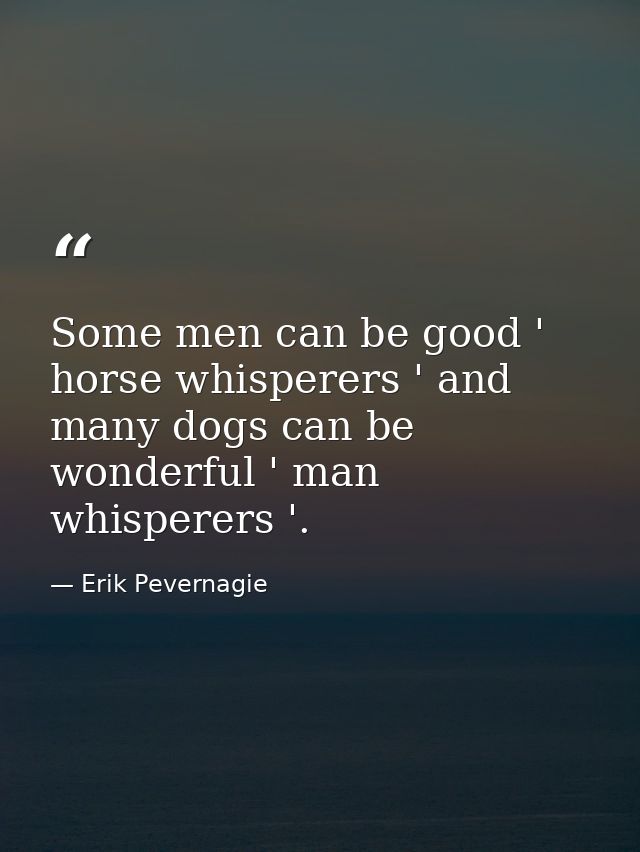 Some men can be good ' horse whisperers ' and many dogs can be wonderful ' man whisperers '. — Erik Pevernagie