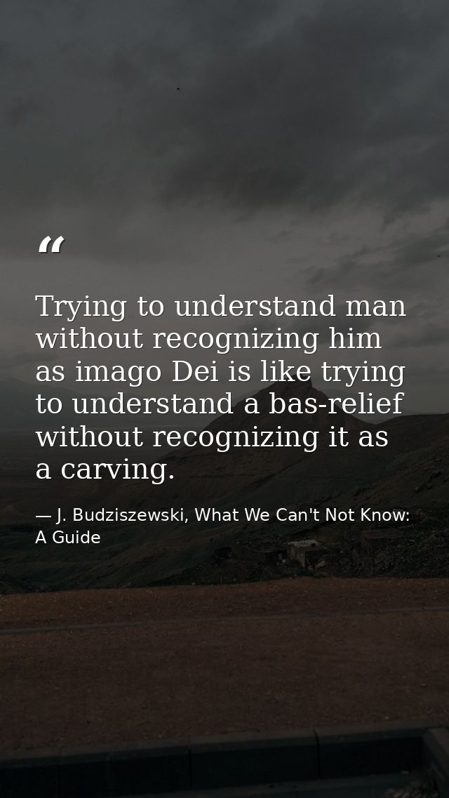Trying to understand man without recognizing him as imago Dei is like trying to understand a bas-relief without recogniz — J. Budziszewski, What We Can't Not Know: A Guide