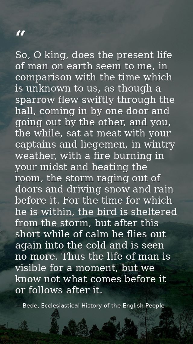 So, O king, does the present life of man on earth seem to me, in comparison with the time which is unknown to us, as tho — Bede, Ecclesiastical History of the English People